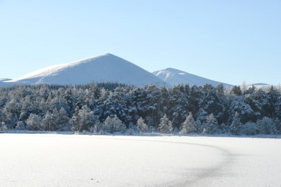 cairngorms