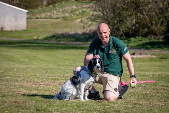 dogs help mental health