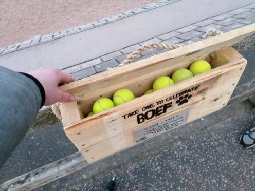 Tennis balls Aberdeen beach