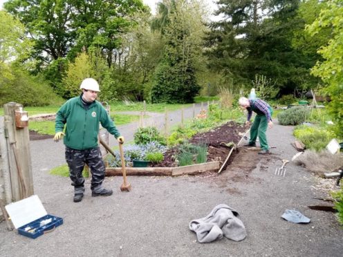 Ninewells community garden