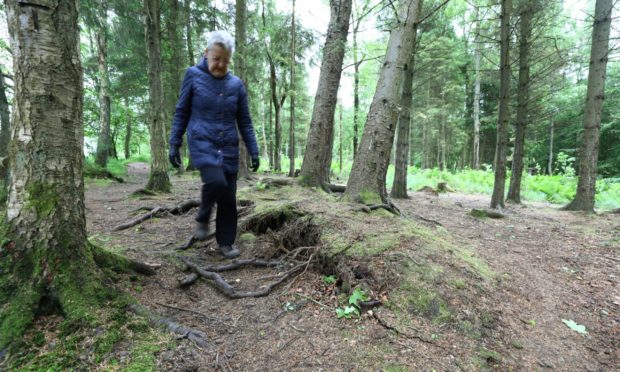 Dorothy McHugh walking in Templeton Woods.