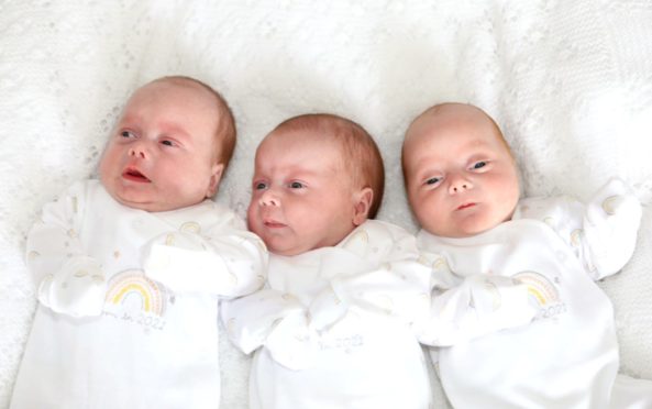 10-week-olds Archie, Oliver &amp; Myles.