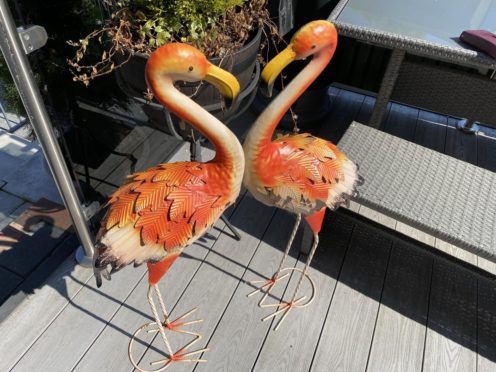 stolen flamingo Dunfermline