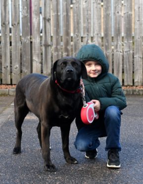 Josh and his best friend Bonny the Labrador.