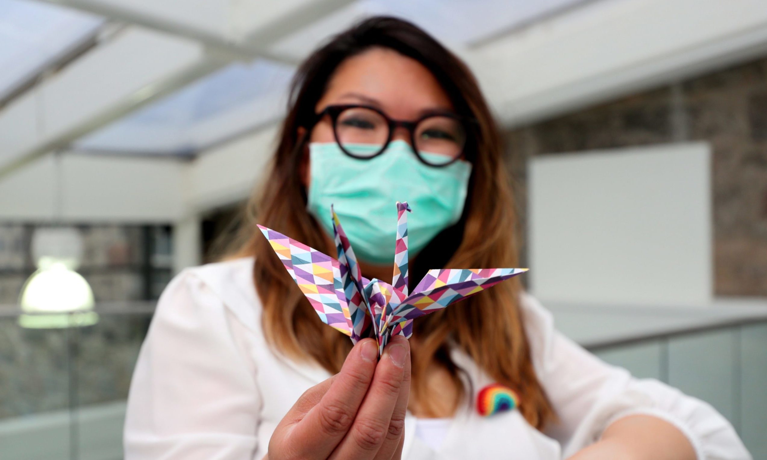 Hundreds of people took part in Janet Liddel's project to fold 1,000 origami cranes.