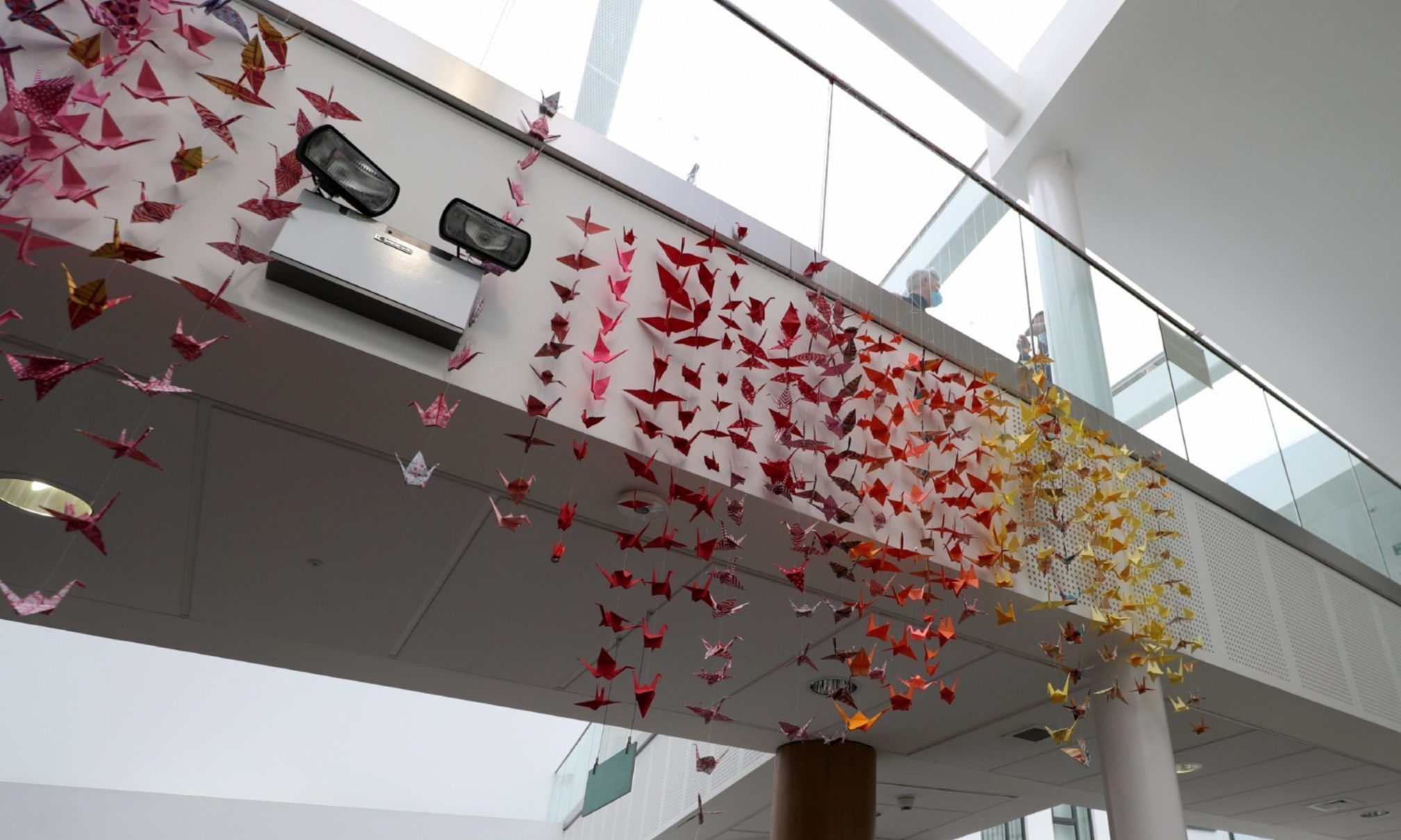 The origami cranes are on display at Frederick Street Health Village.