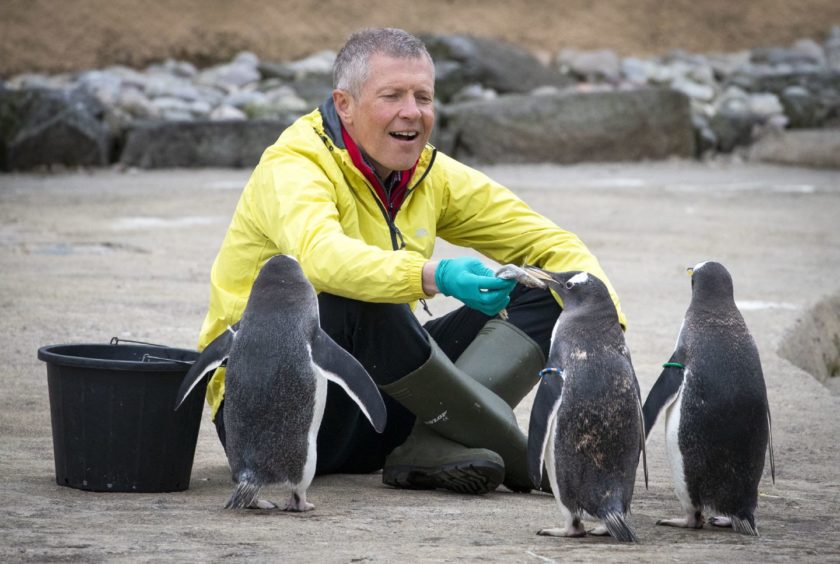 Scottish Liberal Democrat leader Willie Rennie speaking to undecided voters. Some penguins.
