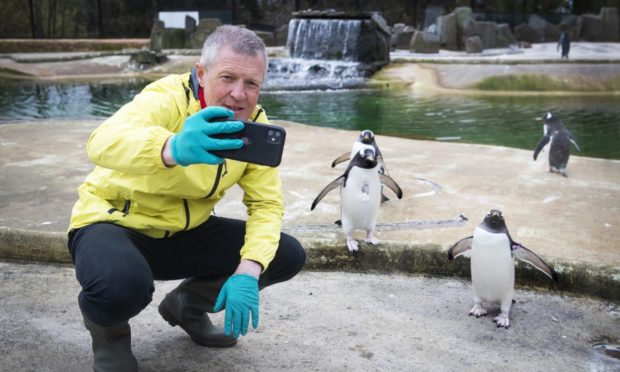 Scottish Liberal Democrat leader Willie Rennie with penguins