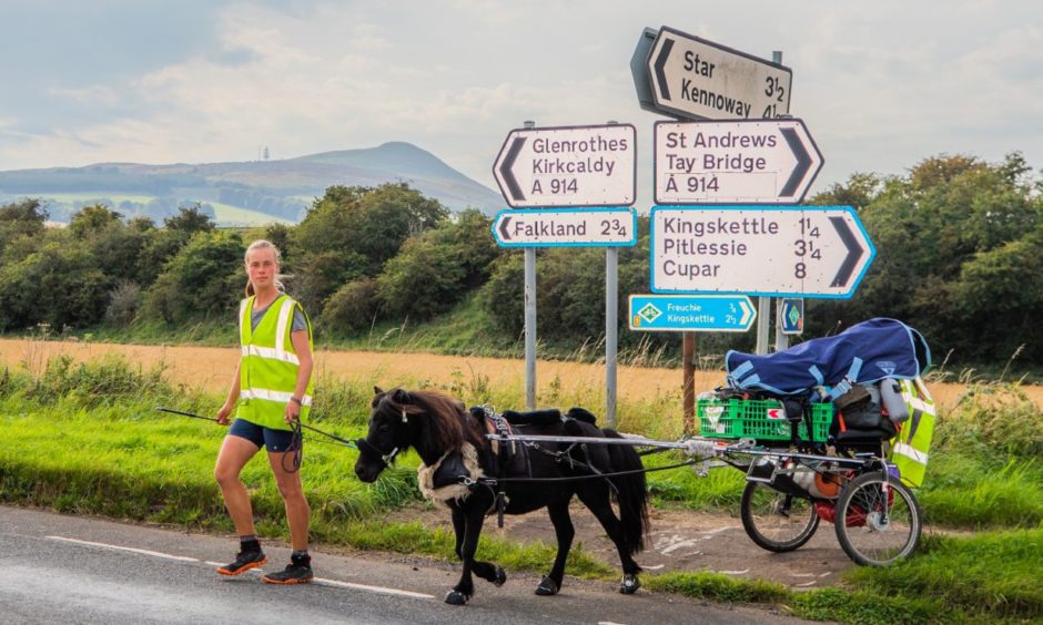 Dundee student pony walked