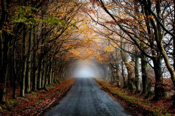 Tentsmuir, Fife.