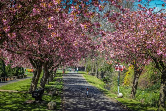 Letham Glen in Leven.