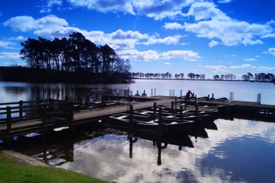 Monikie Park, Angus.                                                                                   Copyright John Ireland.