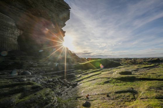 Arbroath Cliffs, Angus.