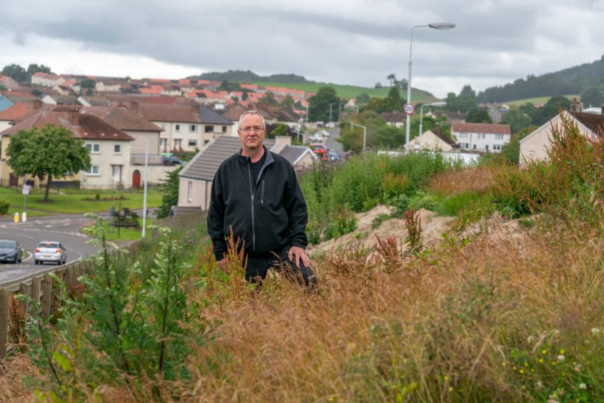 councils roadside grass verges