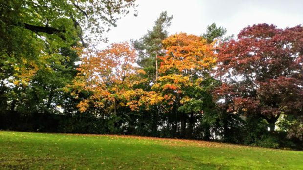 ashludie park in monifieth