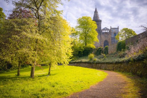 Pittencrieff Park has been targeted by vandals over several years.