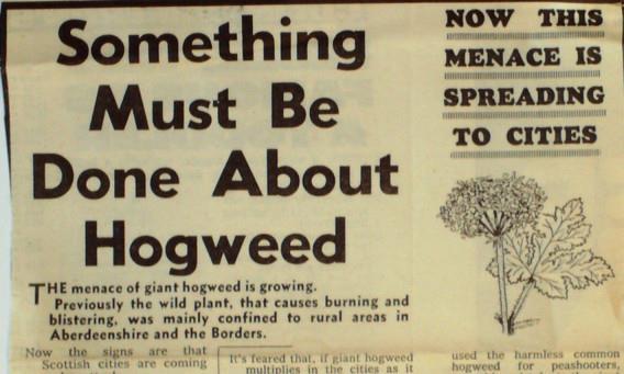 The Sunday Post ran a national campaign 35 years ago and cleaned up the country of the dangerous weed.