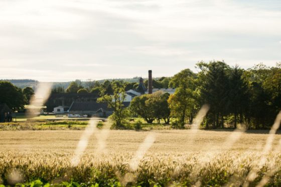 Knockdhu Distillery