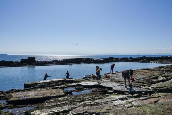 Cellardyke tidal pool