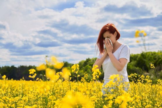 A woman with hay fever symptoms walking through a rapeseed field
