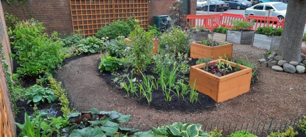 community garden