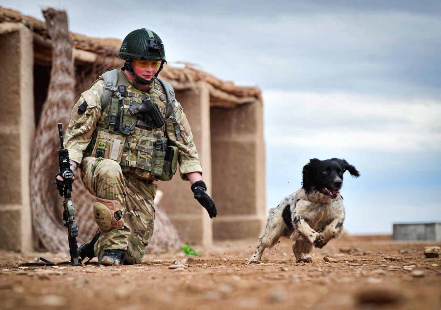 Lance Corporal Liam Tasker and his Springer spaniel Theo on active duty in Afghanistan