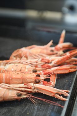Seafood street food Langoustines on a grill