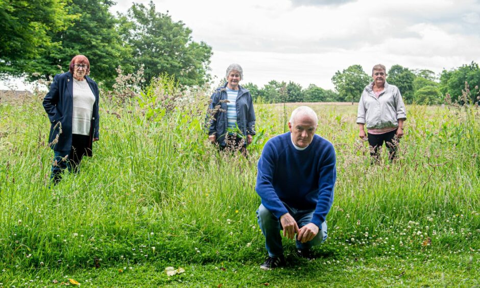 (Left to right) Cecilia Mather, Edna Kidd, Allan Lovie and Audrey Mitchell are outraged at the council halting grass cutting in the park behind their Raeden Place homes.