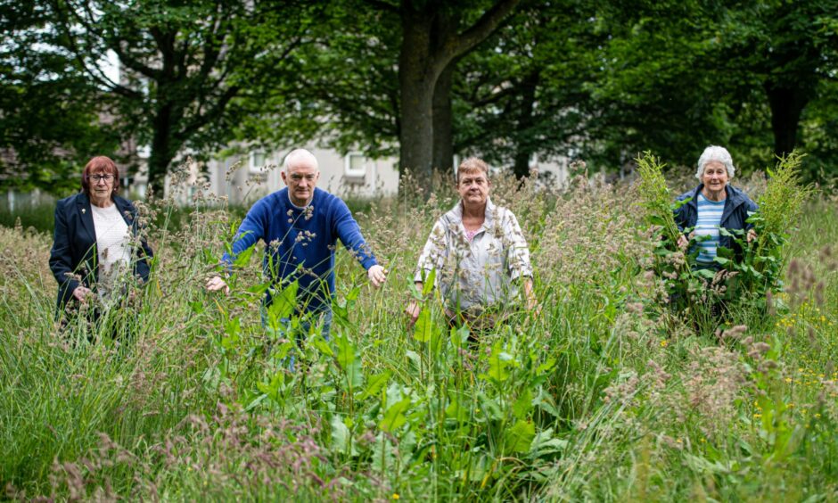 Locals are outraged at the council allowing the grass at the back of their houses become overgrown. Left to right: Cecilia Mather, Allan Lovie, Audrey Mitchell and Edna Kidd among the out of control grass.
