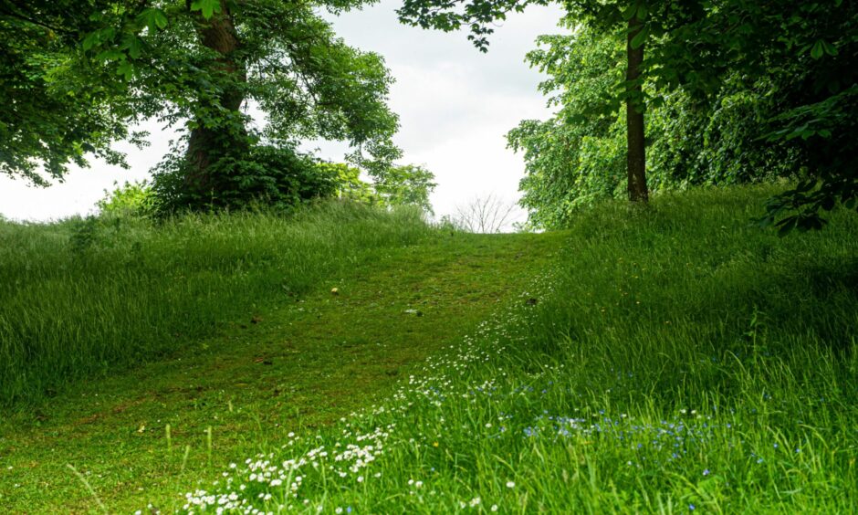 The council has mown paths into the weeds based on the tracks residents had walked into the grass.