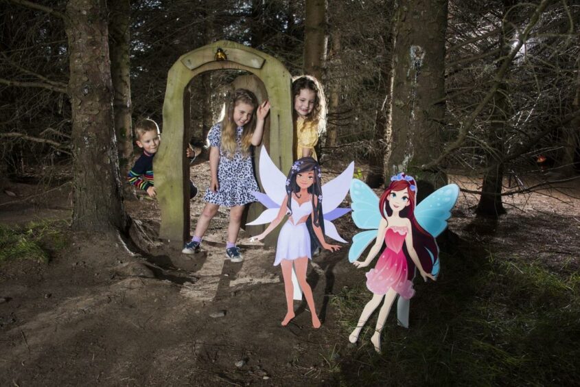 Brechin Castle fairy trail.