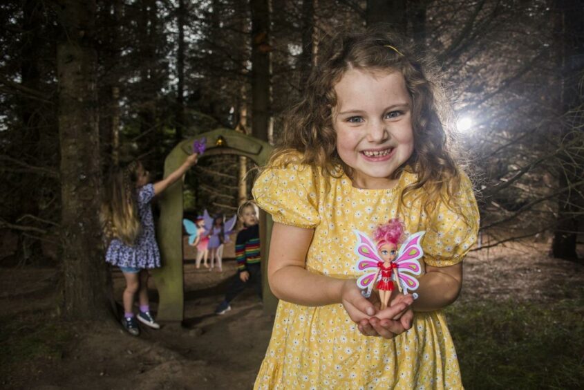 Brechin Castle centre fairy trail