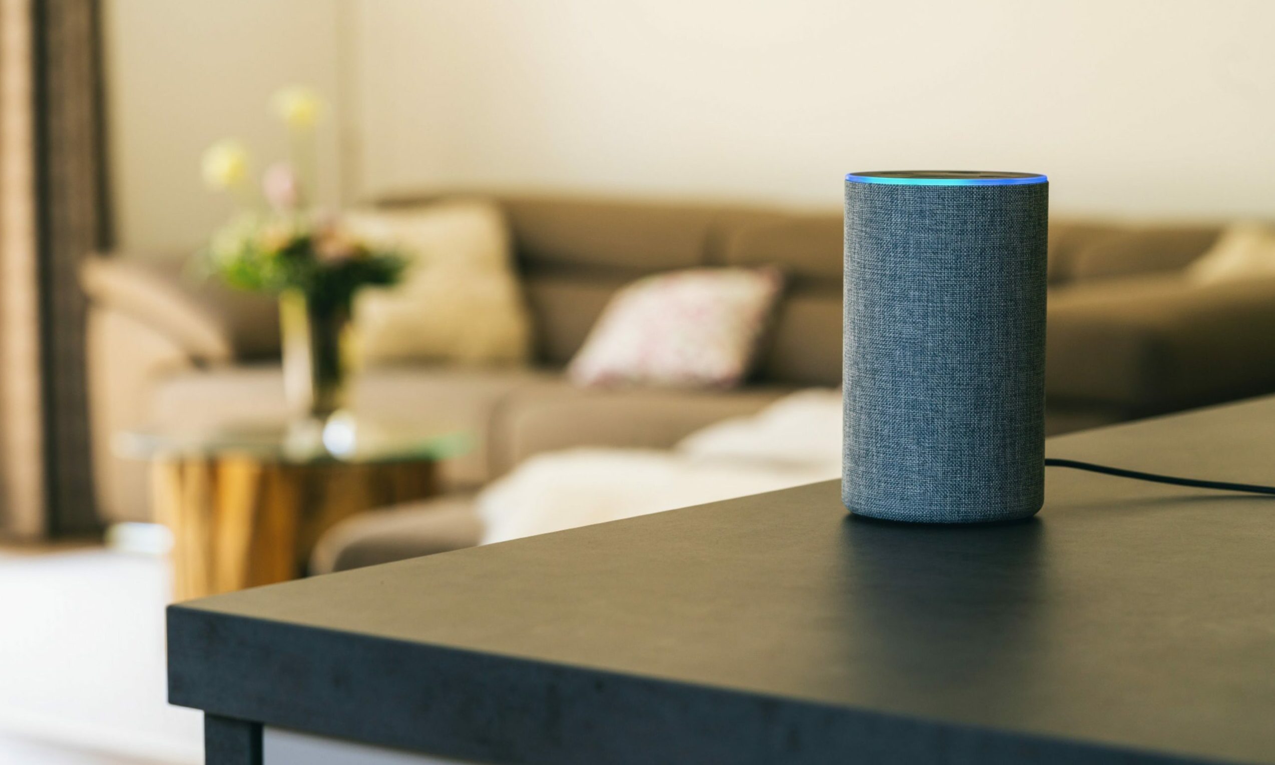 Colin says investing in a smart speaker, such as Amazon's Echo range, can help complete tasks for people with sight loss.