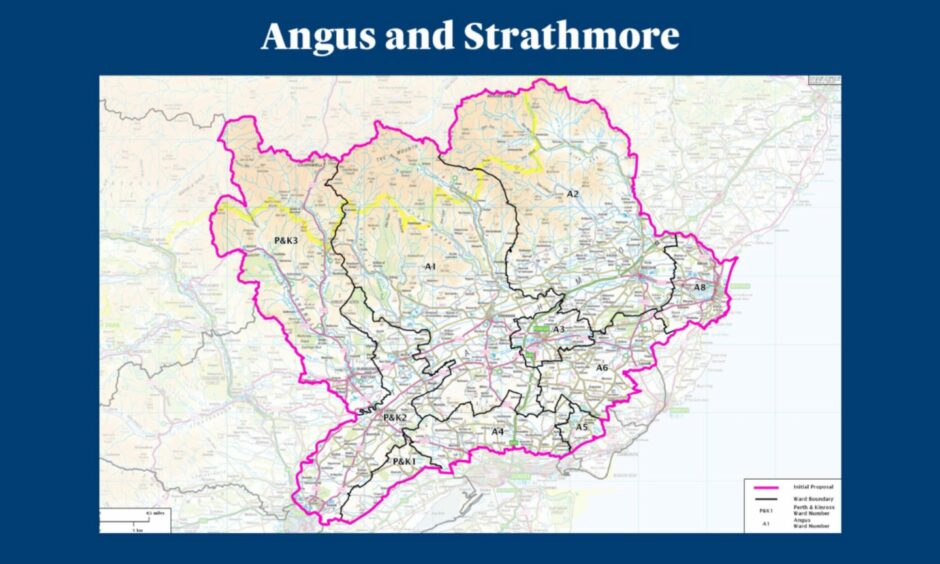 Angus constituency