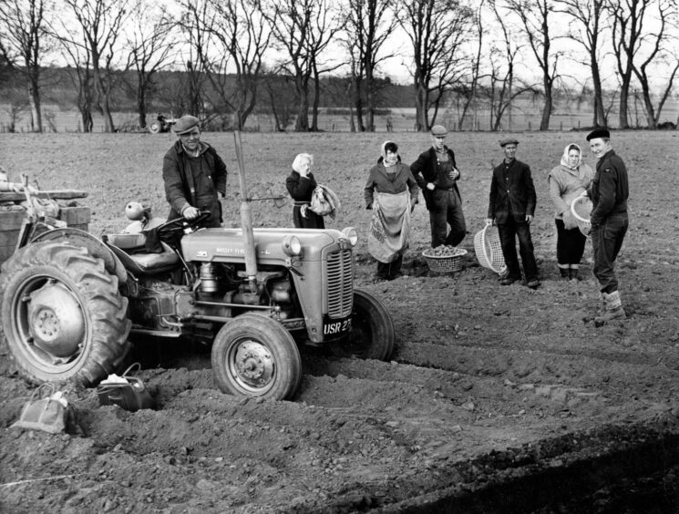 Photograph shows a group of people posing for a photo with their potato collection baskets in hand. Circa 1963, near Dundee.