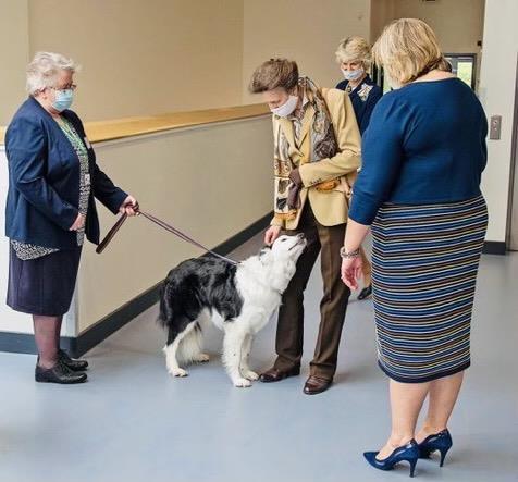 School dog at Alness