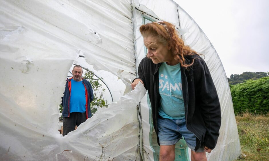 Vandals have now damaged a thousand pound poly tunnel tent.