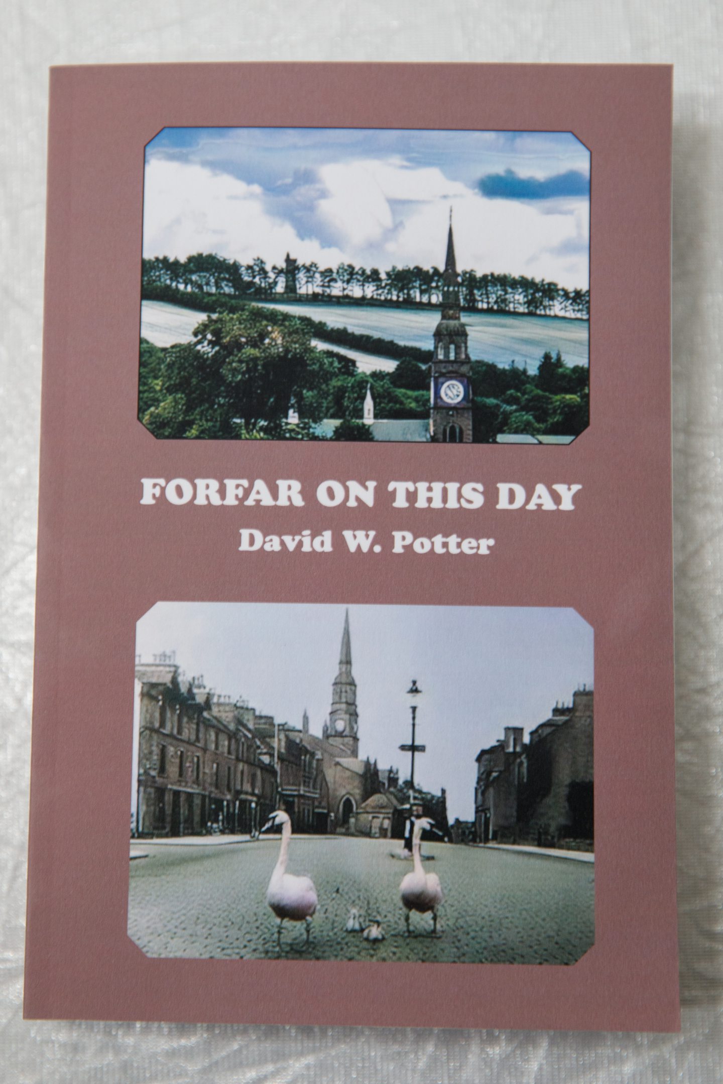 The new book is the latest work from David Potter.