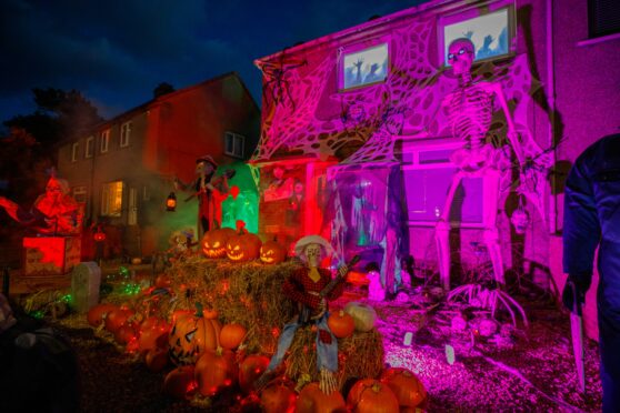 The 12fr skeleton towers over the garden at the Leven Halloween house.