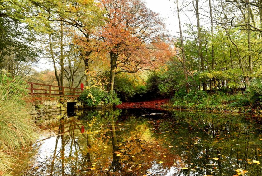 A pond reflecting autumnal trees in Aden Country Park