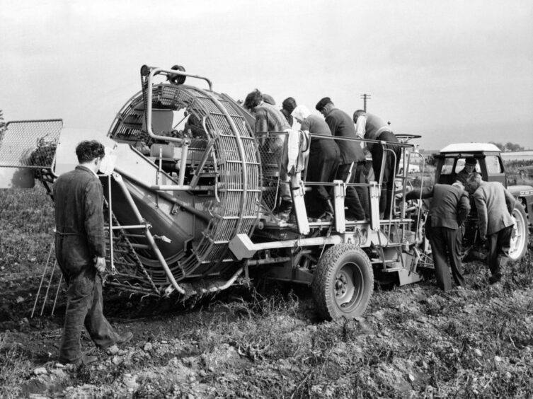 The potato harvesting machine working on a St Cyrus farm in 1964 lifted more than half-an-acre of crop per hour.