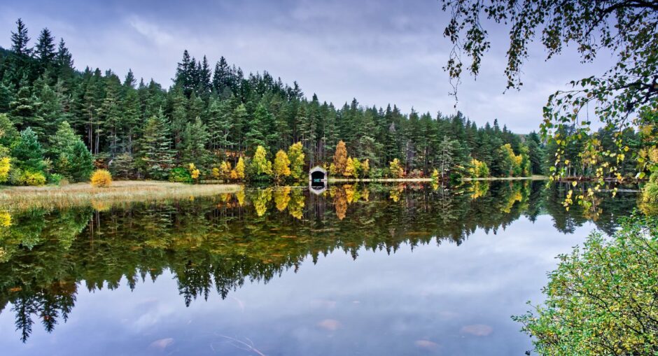 Glen Tanar reflecting the autumnal forest trees on the water's edge