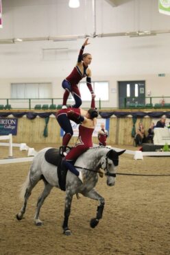 Pegasus Vaulting Group