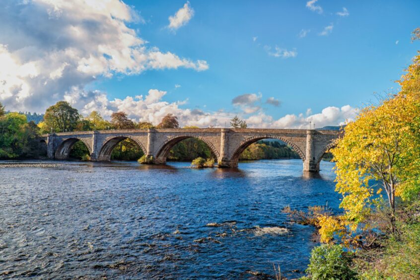 river tay fishing