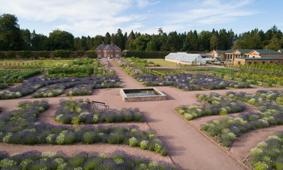 Herb rows at Gordon Castle. 