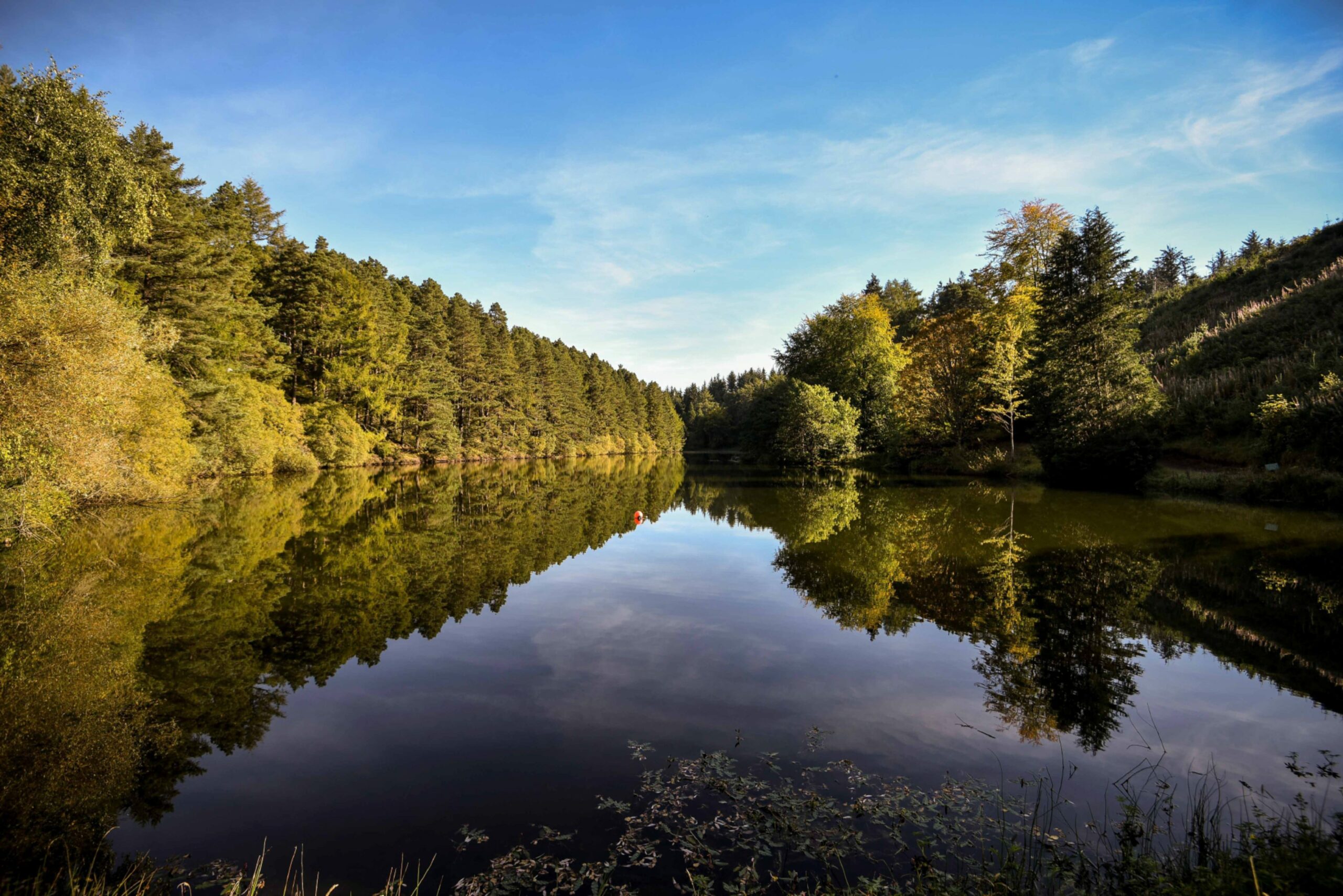 Trees are reflected in the loch at Millbuies Country Park near Elgin, Moray.