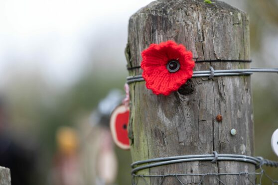 One of the remembrance day poppies made at the community garden.