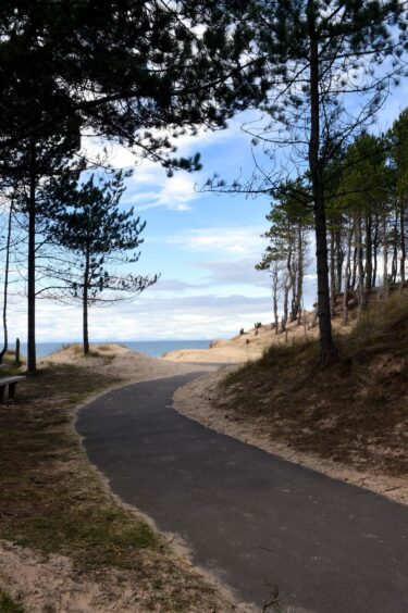 A path to the beach at Roseisle Forest