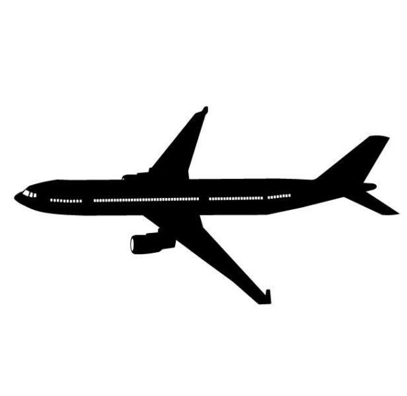 Silhouette of Trump plane