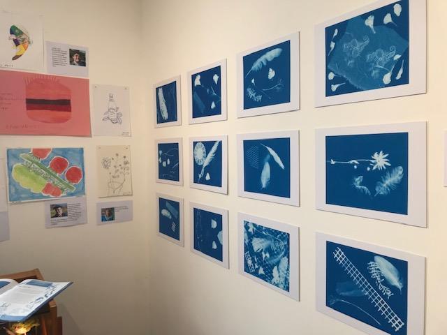 Cyanotypes, or sun print, of different items found in nature on display at the Kaleidoscope community art exhibit.